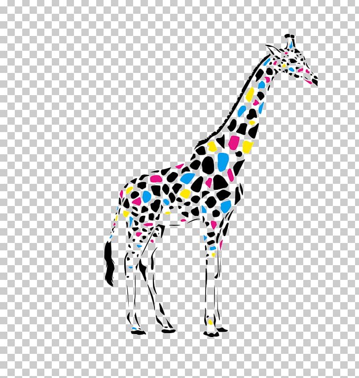 Giraffe Color Drawing Cdr PNG, Clipart, Animals, Balloon Cartoon, Boy Cartoon, Cartoon, Cartoon Alien Free PNG Download