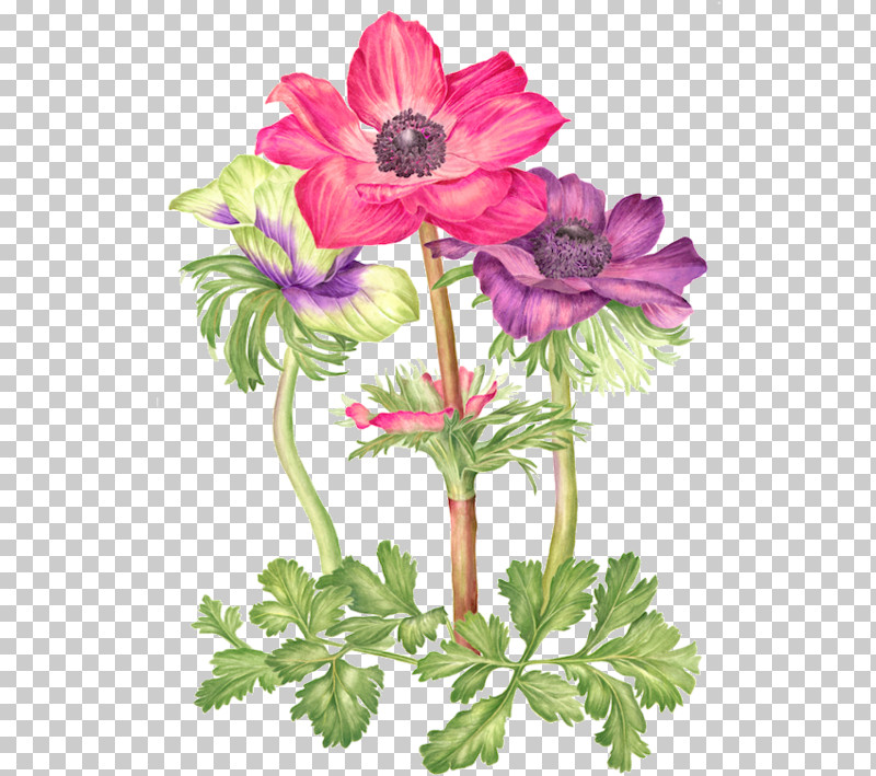Floral Design PNG, Clipart, Drawing, Floral Design, India Ink, Paint, Painting Free PNG Download