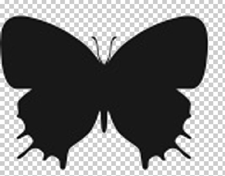 Butterfly Insect Silhouette Stencil PNG, Clipart, Arachnid, Art, Arthropod, Black, Black And White Free PNG Download