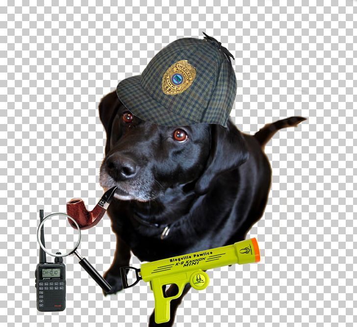 Dog Breed Vizsla Leash Dog Collar PNG, Clipart, Breed, Collar, Com, Dog, Dog Breed Free PNG Download