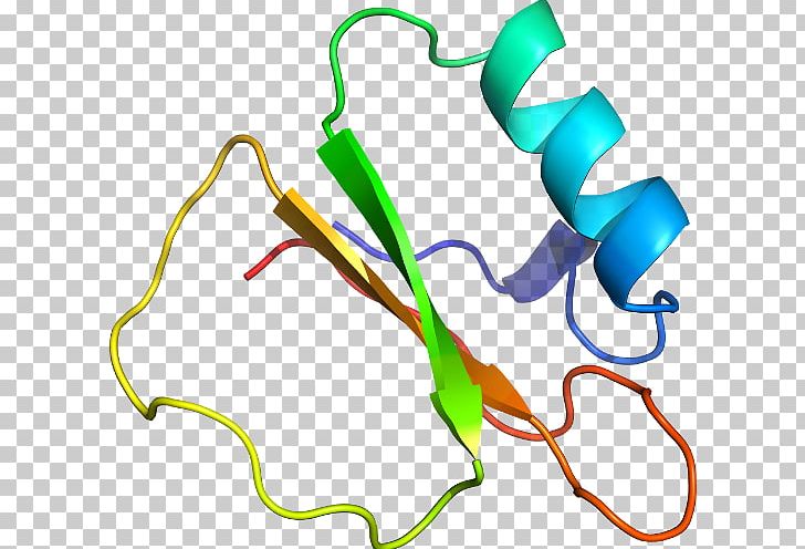 Line Point PNG, Clipart, Area, Art, Calciumbinding Protein, Line, Organism Free PNG Download