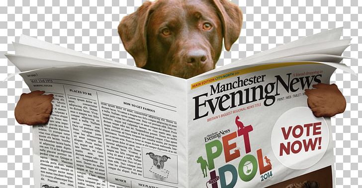 Newspaper Dog Breed French Bulldog PNG, Clipart, Brand, Bulldog, Dog, Dog Breed, French Bulldog Free PNG Download