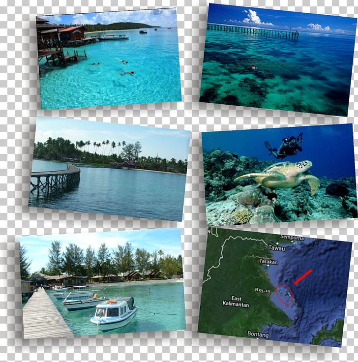 Derawan Islands Water Resources Ecosystem Sea Leisure PNG, Clipart, Antar, Aqua, Armada, Coast, Coastal And Oceanic Landforms Free PNG Download