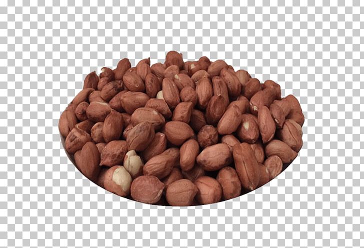 Hazelnut Tree Nut Allergy Peanut VY2 PNG, Clipart, Commodity, Food, Hazelnut, Ingredient, Nature Free PNG Download