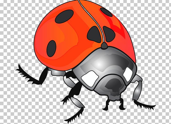 Ladybird Beetle PNG, Clipart, Animal, Animals, Arthropod, Beetle, Bicycle Helmet Free PNG Download