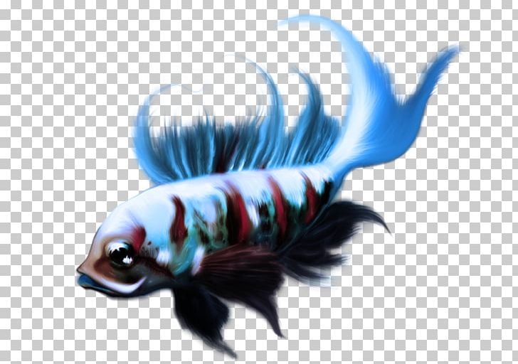 Koi Ornamental Fish PNG, Clipart, Animals, Art, Christmas Ornaments, Deviantart, Digital Art Free PNG Download