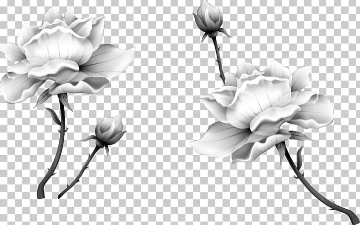 Nelumbo Nucifera Ink Wash Painting Black And White PNG, Clipart, Black, Black Hair, Branch, Chinese Painting, Chinese Style Free PNG Download