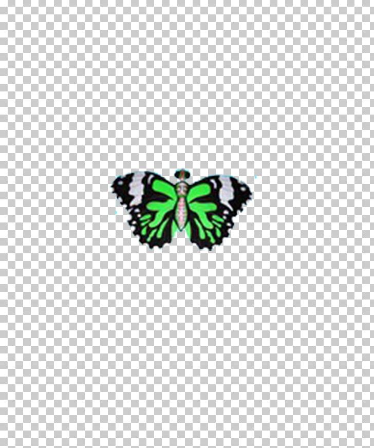 Nymphalidae Butterfly Green Pattern PNG, Clipart, Blue Butterfly, Brush Footed Butterfly, Butterflies, Butterfly, Butterfly Group Free PNG Download