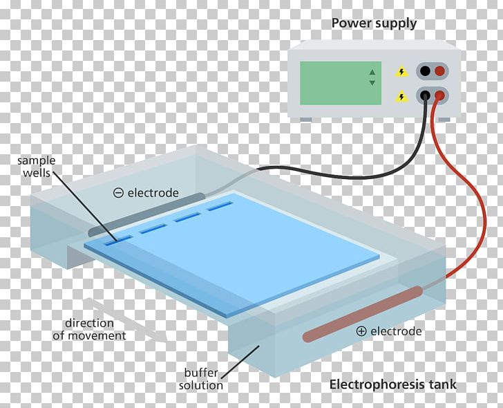 Agarose Gel Electrophoresis Polyacrylamide Gel Electrophoresis PNG, Clipart, Dna, Electronic Device, Electronics, Electronics Accessory, Electrophoresis Free PNG Download