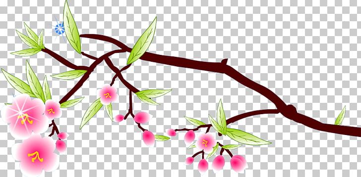 Blossom Flower Petal PNG, Clipart, Branch, Branches, Cut Flowers, Download, Flora Free PNG Download