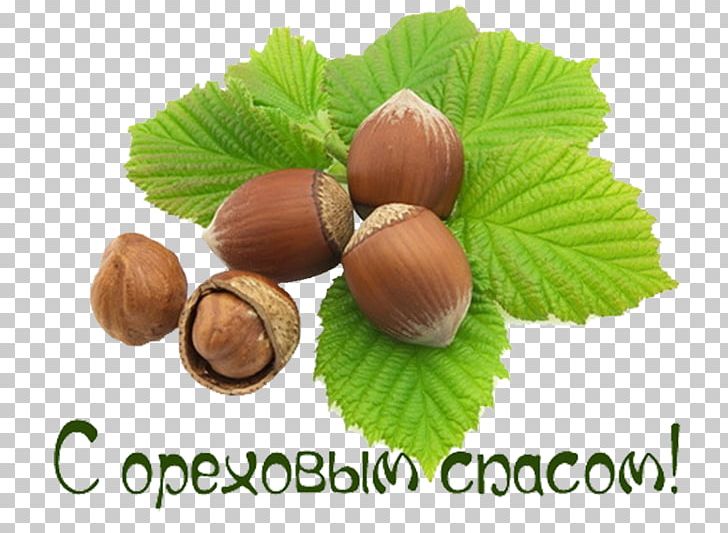 Bread Savior Day Savior Of The Apple Feast Day Hazelnut Chestnut PNG, Clipart, 29 August, August, Bread Savior Day, Chestnut, Corylus Colurna Free PNG Download