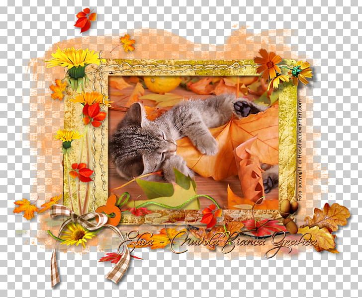 Desktop Computer Monitors Kitten Autumn PNG, Clipart, Animal, Animals, Autumn, Carnivora, Carnivoran Free PNG Download