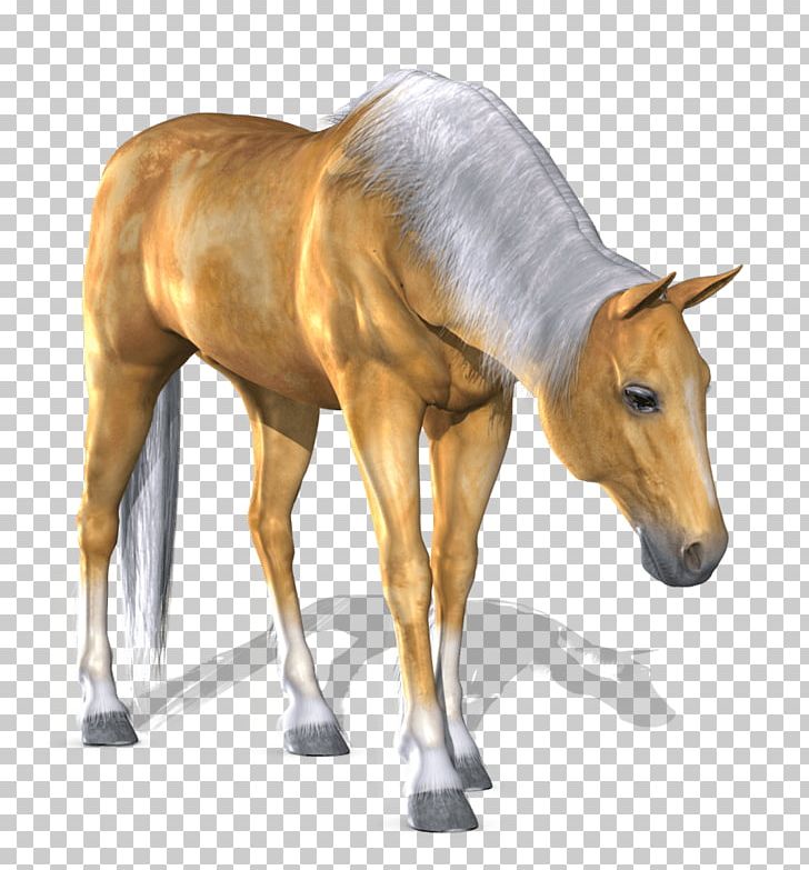 Horse Computer File PNG, Clipart, Animals, Cachorro, Colt, Computer Icons, Cute Free PNG Download