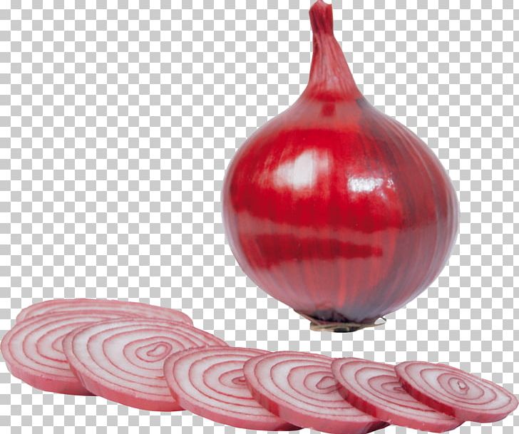 Onion PNG, Clipart, Onion Free PNG Download