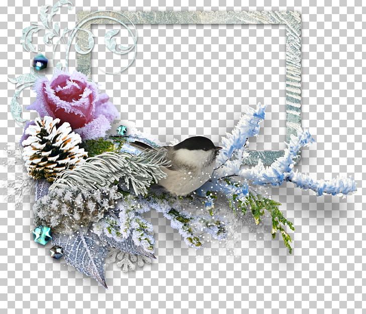 Winter Centerblog Snow Flower Spring PNG, Clipart, Blog, Centerblog, Christmas, Christmas Ornament, Cut Flowers Free PNG Download