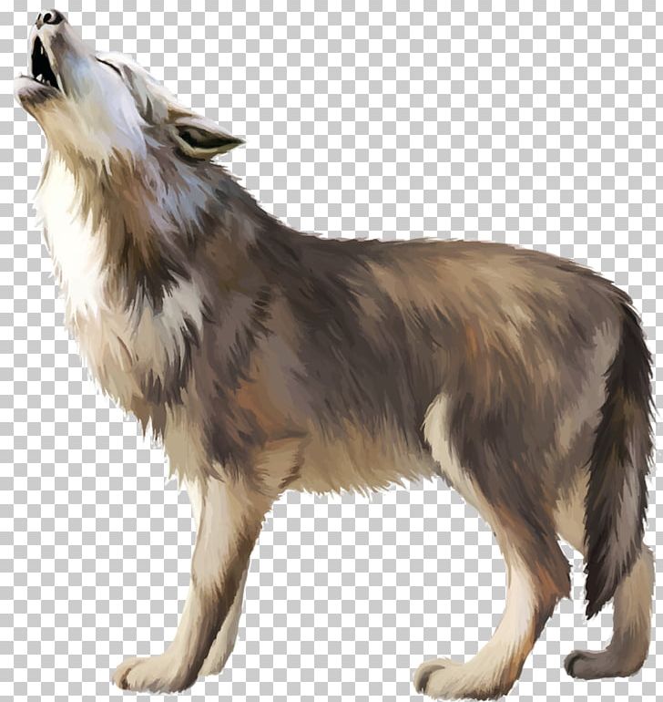 Gray Wolf Icon PNG, Clipart, Animals, Black Wolf, Carnivoran, Cartoon, Creativ Free PNG Download