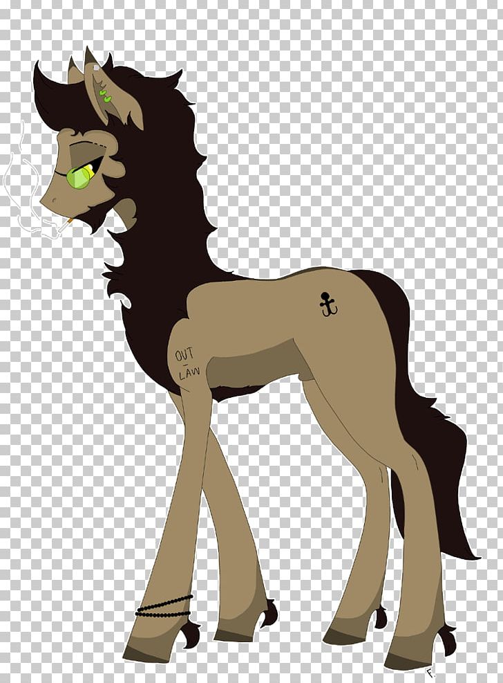 Pony Mustang Foal Colt Stallion PNG, Clipart,  Free PNG Download