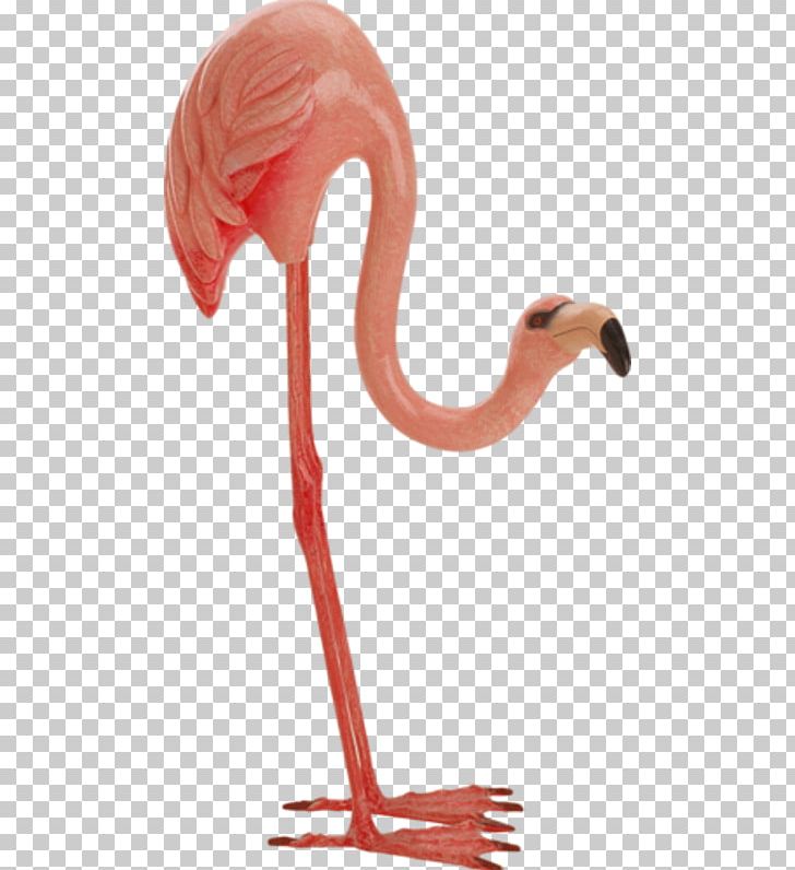 Bird Greater Flamingo PNG, Clipart, Animals, Beak, Bird, Birds, Ceramics Free PNG Download