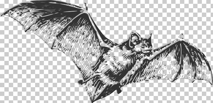Bat Drawing Line Art PNG, Clipart, Animals, Carnivoran, Dog Like Mammal, Fictional Character, Little Brown Bat Free PNG Download