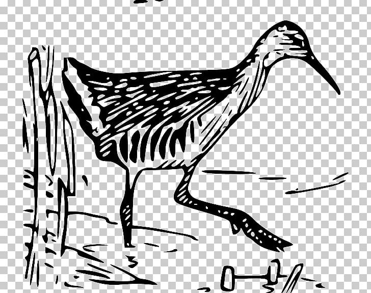 Beak King Rail Bird PNG, Clipart, Anatidae, Animals, Artwork, Beak, Bird Free PNG Download