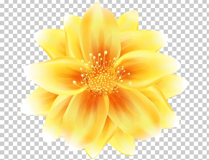 Desktop PNG, Clipart, Art, Chrysanths, Clip, Dahlia, Daisy Family Free PNG Download