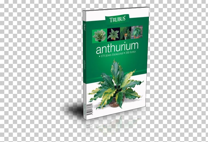 Herbalism Leaf PNG, Clipart, Anthurium, Herb, Herbal, Herbalism, Leaf Free PNG Download
