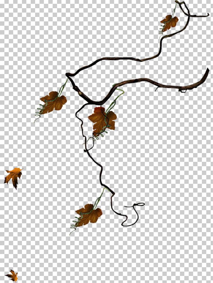 Leaf Twig PNG, Clipart, Artwork, Autumn Leaf Color, Branch, Brown, Cartoon Free PNG Download