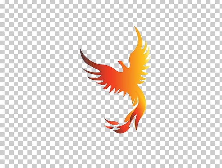 Phoenix PNG, Clipart, Beak, Bird, Camera Icon, Camera Logo, Computer Wallpaper Free PNG Download