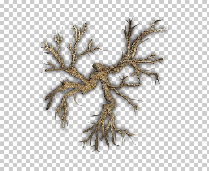 Twig Root Tree Branch Plant PNG, Clipart, Branch, Chestnut, Death, Desert, Don Free PNG Download