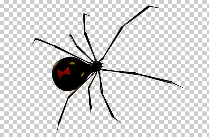 Widow Spiders GIF Portable Network Graphics PNG, Clipart, Animaatio, Animal, Arachnid, Arthropod, Avatar Free PNG Download