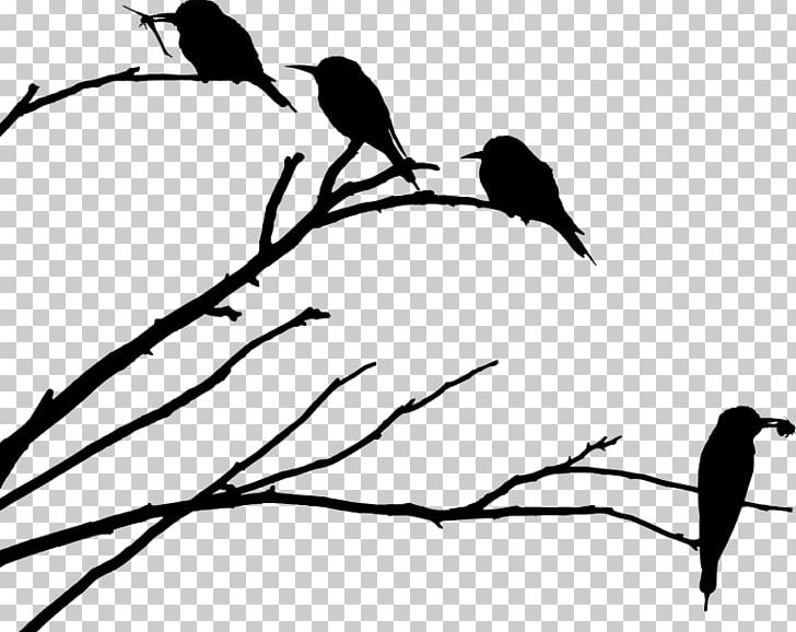 Drawing Father Bird Silhouette PNG, Clipart, Beak, Bird, Black And White, Branch, Child Free PNG Download