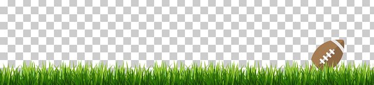 Grasses Green Commodity Line Tree PNG, Clipart, Commodity, Family, Grass, Grasses, Grass Family Free PNG Download
