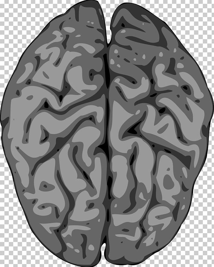 Human Brain Grey Matter PNG, Clipart, Automotive Tire, Brain, Color, Computer Icons, Grey Matter Free PNG Download