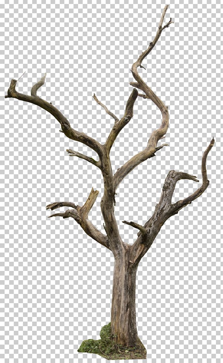 Tree Trunk Drawing PNG, Clipart, Architectural Rendering, Branch, Clip Art, Dead, Dead Tree Free PNG Download