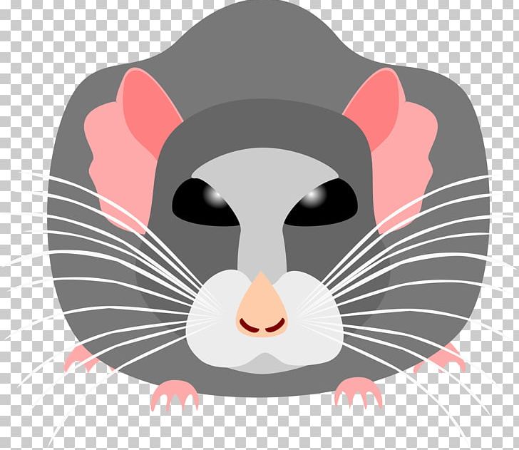Whiskers Snout PNG, Clipart, Carnivoran, Cartoon, Cat, Cat Like Mammal, Head Free PNG Download