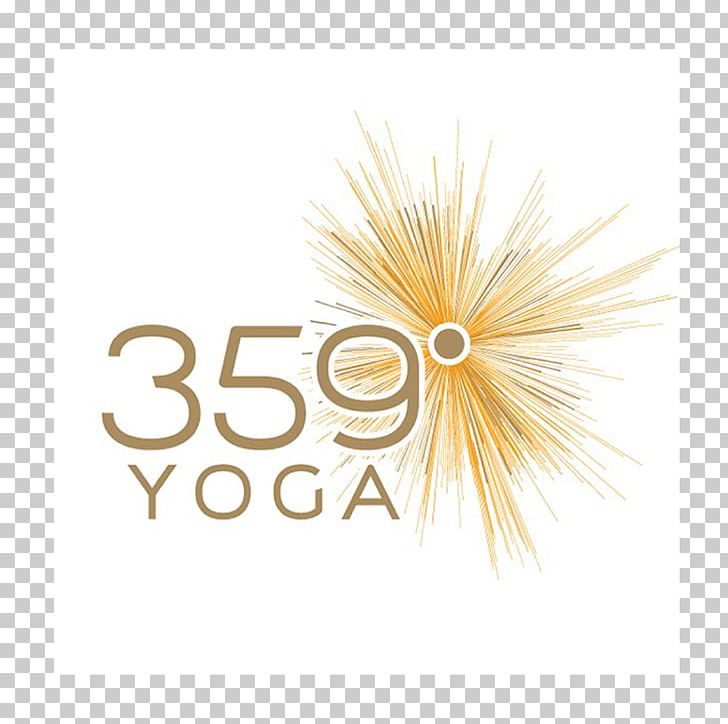 359 Degree Yoga Ashtanga Vinyasa Yoga Henry Ford Wyandotte Hospital Henry Ford Health System PNG, Clipart, 2018, 2019, Ashtanga Vinyasa Yoga, Brand, Computer Wallpaper Free PNG Download