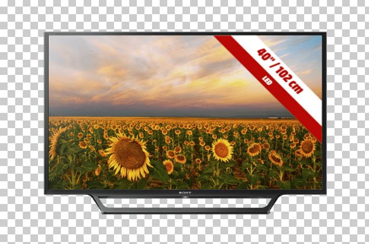 Bravia Motionflow HD Ready LED-backlit LCD High-definition Television PNG, Clipart, 1080p, Advertising, Bravia, Computer Monitor, Display Advertising Free PNG Download