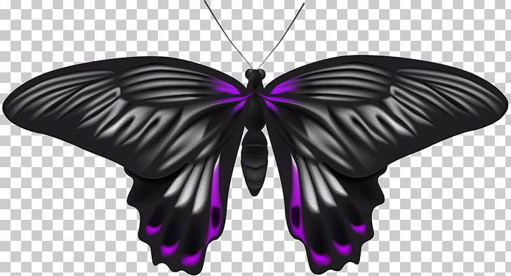 File Formats Lossless Compression PNG, Clipart, Arthropod, Brush Footed Butterfly, Butterflies, Butterflies And Moths, Butterfly Free PNG Download