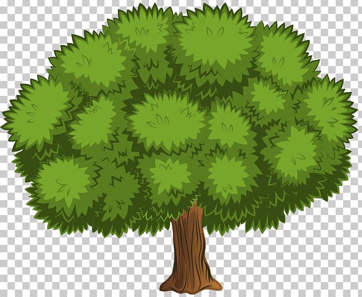 Tree Shrub PNG, Clipart, Animation, Arecaceae, Grass, Green, Leaf Free PNG Download