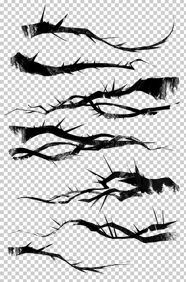 Visual Arts Sketch PNG, Clipart, Art, Artwork, Black And White, Branch, Branching Free PNG Download