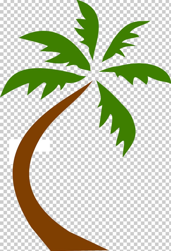 Arecaceae Virginia Beach PNG, Clipart, Arecaceae, Beach, Branch, Coconut, Coconut Tree Free PNG Download