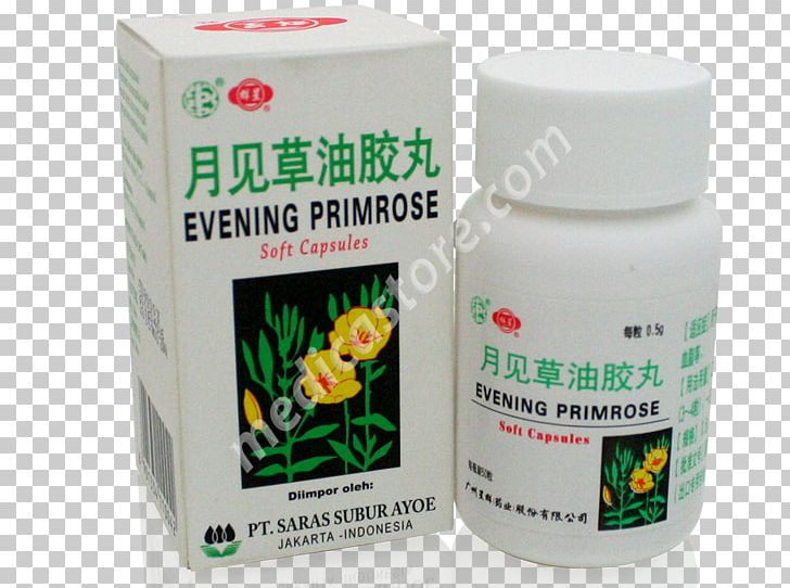 Common Evening-primrose Product Herb Plants Evening-primroses PNG, Clipart, Common Eveningprimrose, Eveningprimroses, Herb, Herbal, Others Free PNG Download