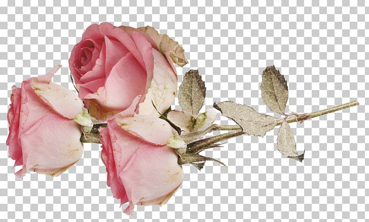 Idea PNG, Clipart, Artificial Flower, Blossom, Bud, Collage, Cut Flowers Free PNG Download