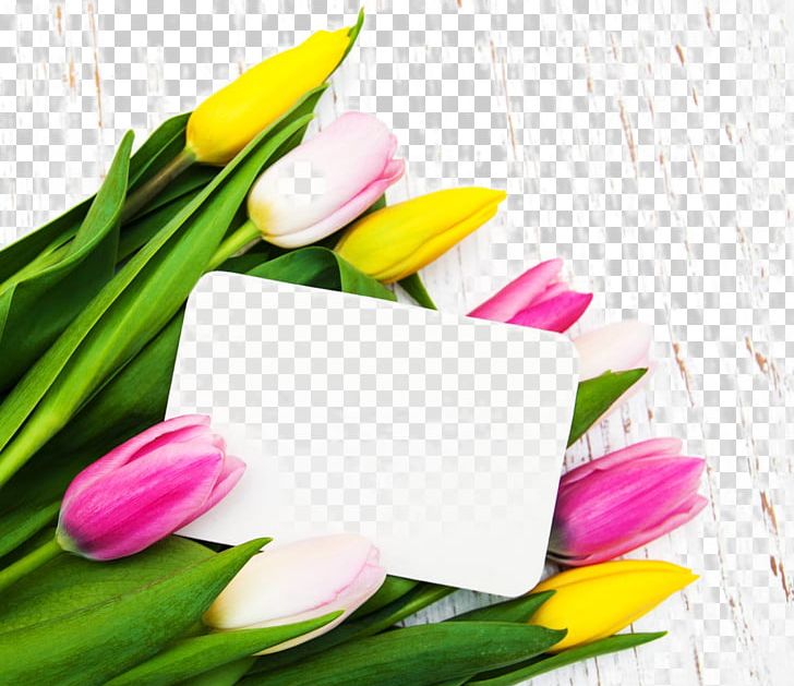 Tulip Flower Poster PNG, Clipart, Beautiful Tulips And A Card, Beauty Salon, Birthday Card, Business Card, Flowers Free PNG Download