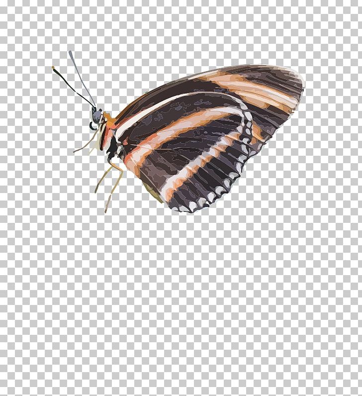Brush-footed Butterflies Butterfly Dryadula Phaetusa Moth PNG, Clipart, Arthropod, Brush Footed Butterfly, Butterfly, Caligo Eurilochus, Danaus Genutia Free PNG Download
