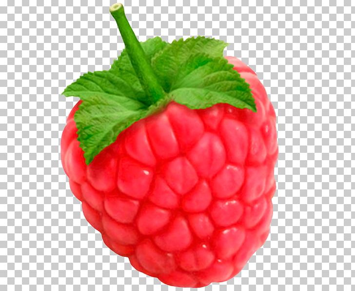 Raspberry Mari Belajar Learning Fruits PNG, Clipart, Accessory Fruit, Android, Animated, Berry, Diet Food Free PNG Download