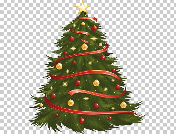 Christmas Tree PNG, Clipart, Christmas, Christmas Decoration, Christmas Ornament, Christmas Tree, Conifer Free PNG Download