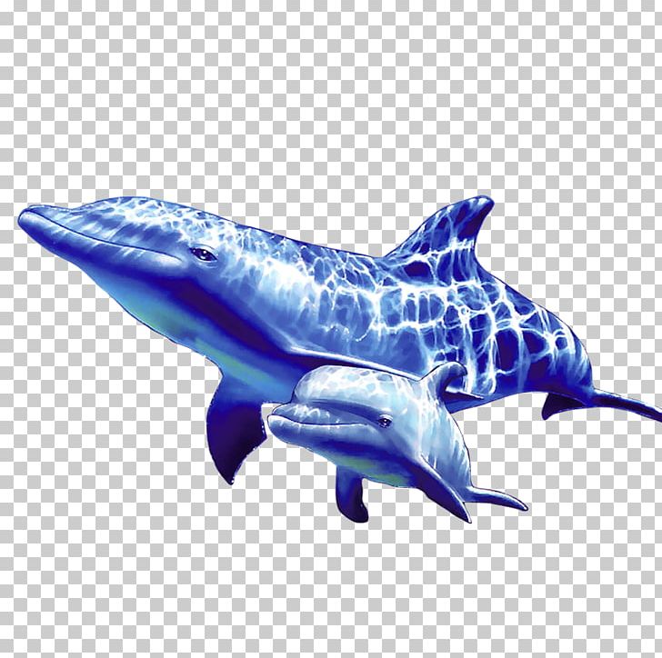 Common Bottlenose Dolphin Whale PNG, Clipart, Animals, Blue, Computer Icons, Electric Blue, Encapsulated Postscript Free PNG Download