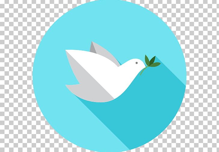 Computer Icons Cygnini Goose PNG, Clipart, Animal, Animals, Aqua, Azure, Beak Free PNG Download