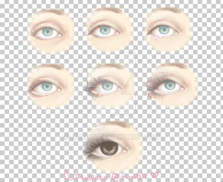 Eyelash Extensions Lip Balm Eye Shadow Eyebrow Eye Liner PNG, Clipart, Artificial Hair Integrations, Cheek, Contact Lens, Cosmetics, Eye Free PNG Download